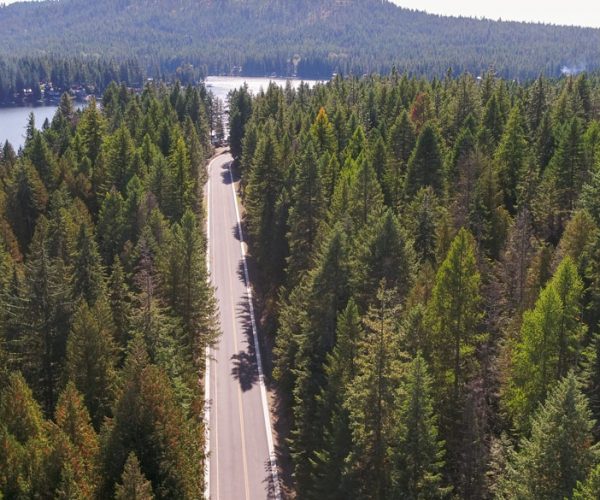 A winding road cuts through a dense forest of evergreen trees near a lake and hills in the distance.