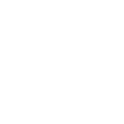 Maalausliisterillä ladattu maalirulla.