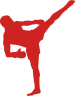 SMPR Fitness logo of a side kick.