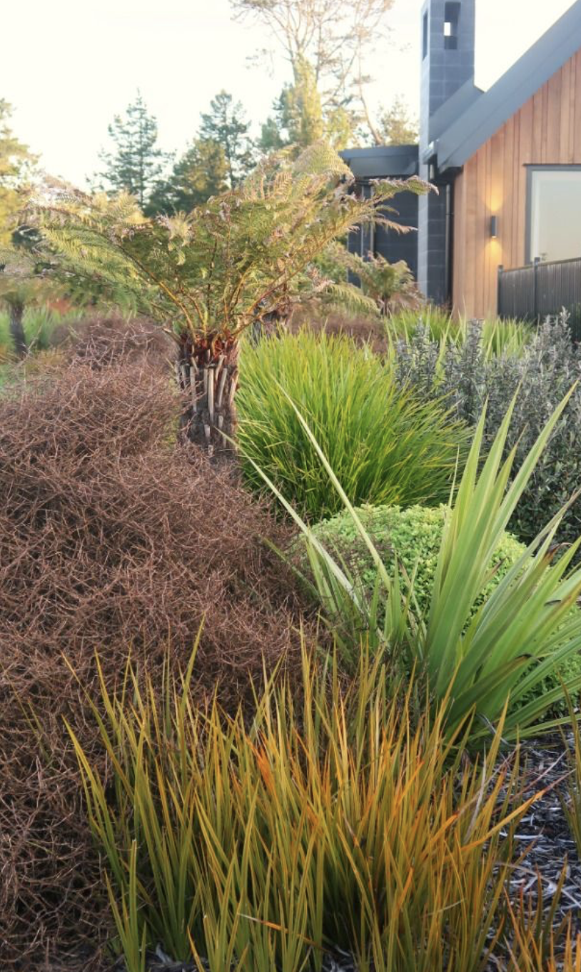 image of tailor tools arranged on a workspace