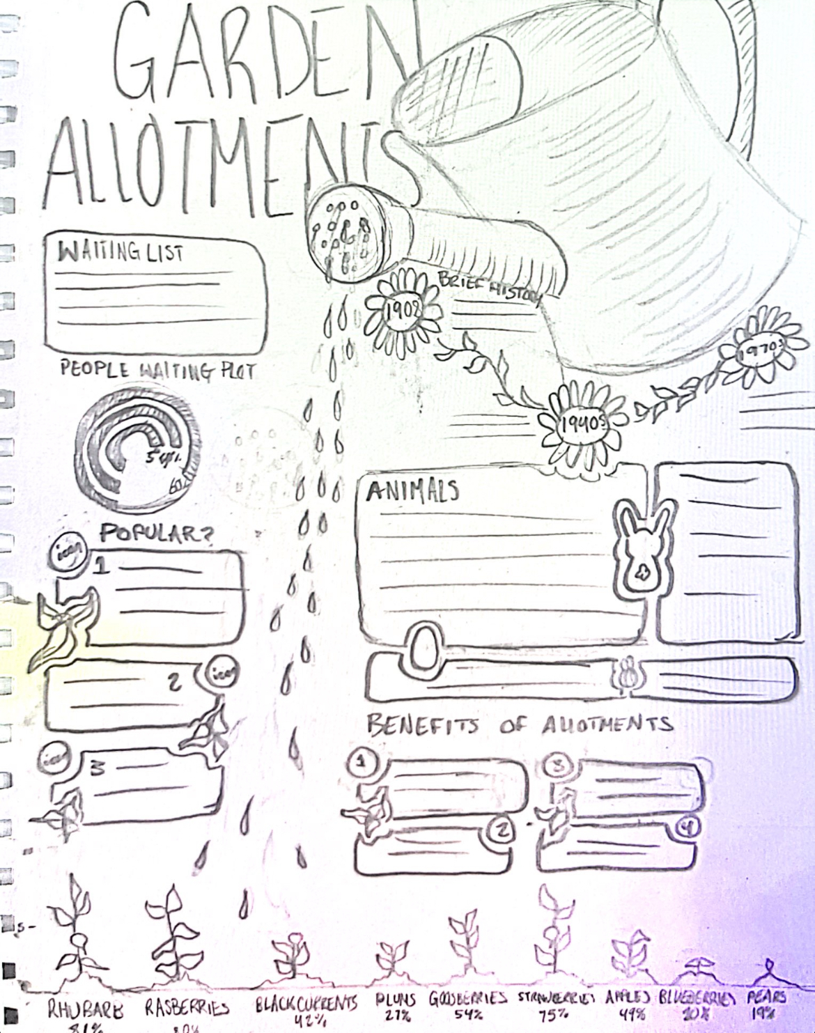 a mockup sketch of final infographic poster