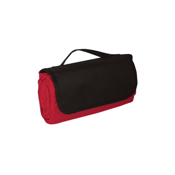 4 in 1 Recreation Picnic Blanket