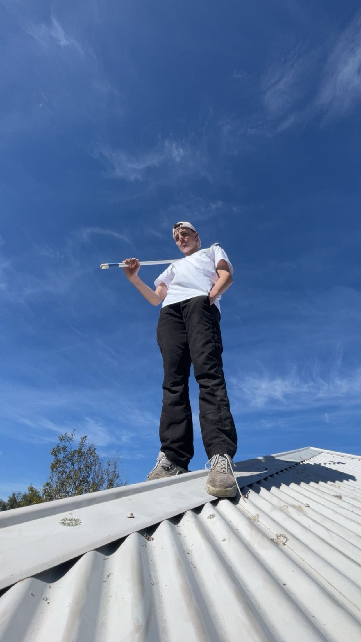 image of pest control procedures