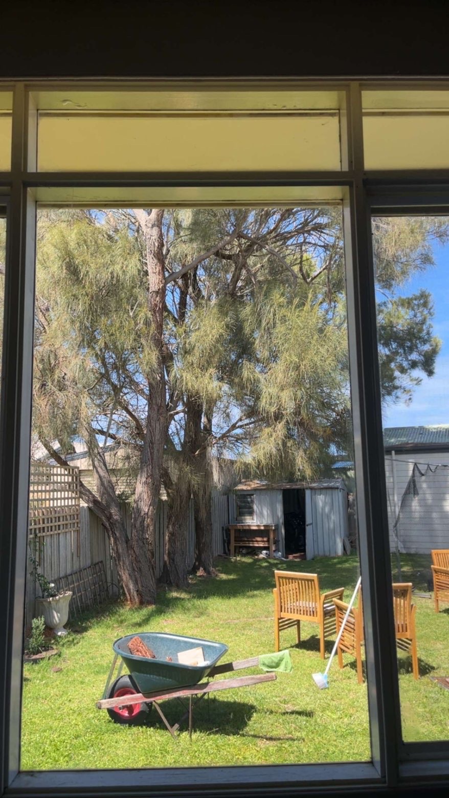 [team] image of individual team member (for a gaming and entertainment)