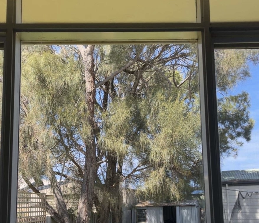 [team] image of individual team member (for a gaming and entertainment)