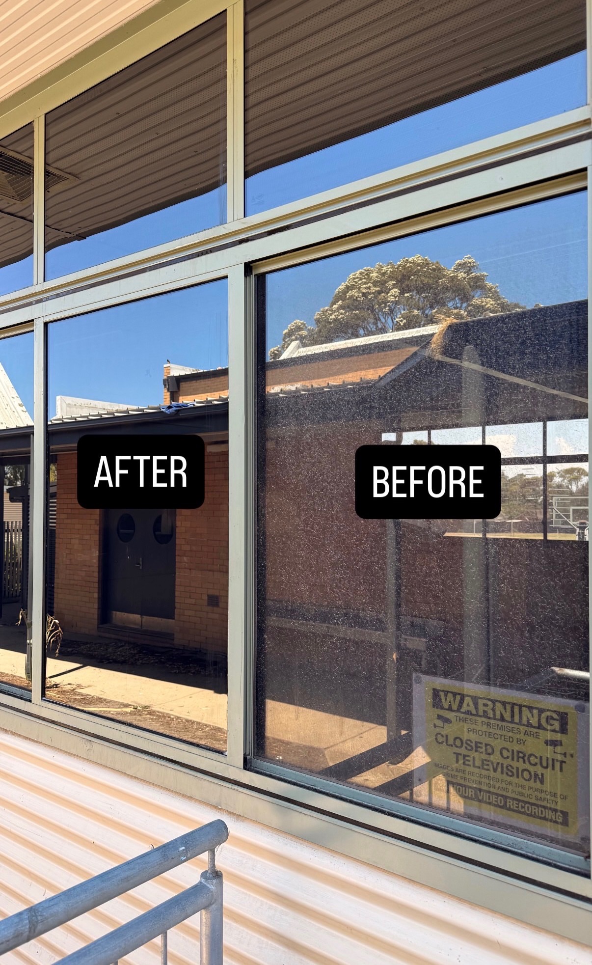 [background image] image of a nature scene visible through office windows (for a personal coach & consultant)