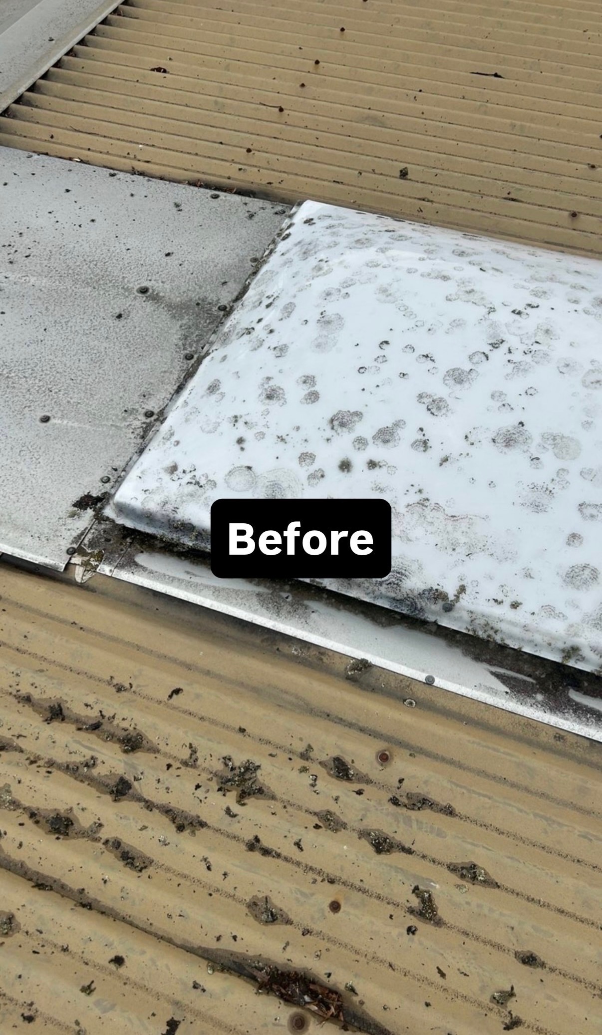 [team] image of a staff member (for a preschool & daycare)