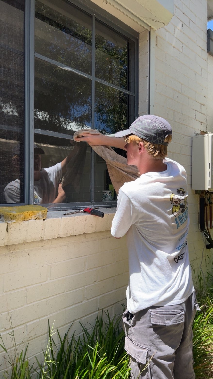 [background image] image of a nature scene visible through office windows (for a personal coach & consultant)