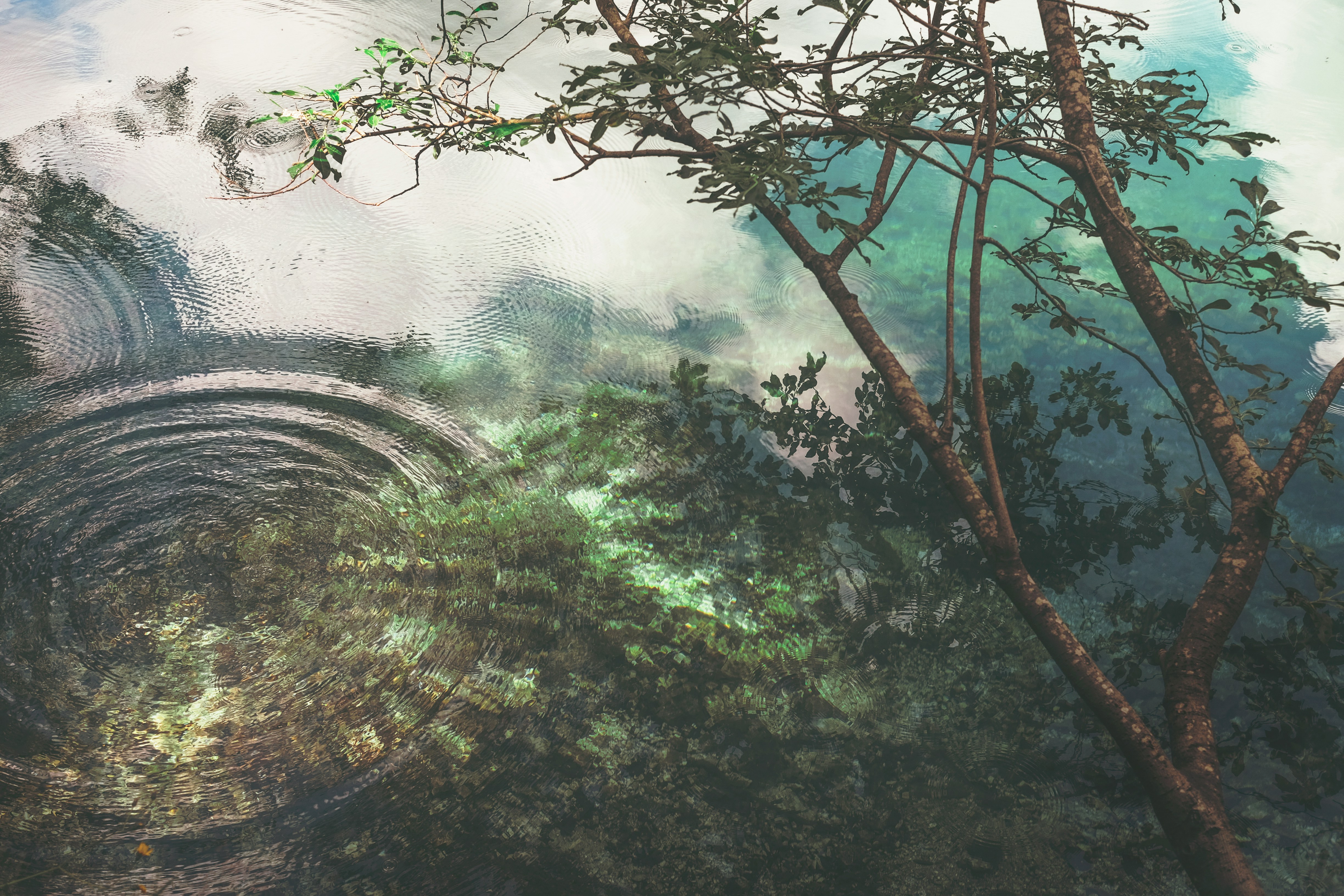 Highlands, Ky based acupuncture practice specialising in five element acupuncture.