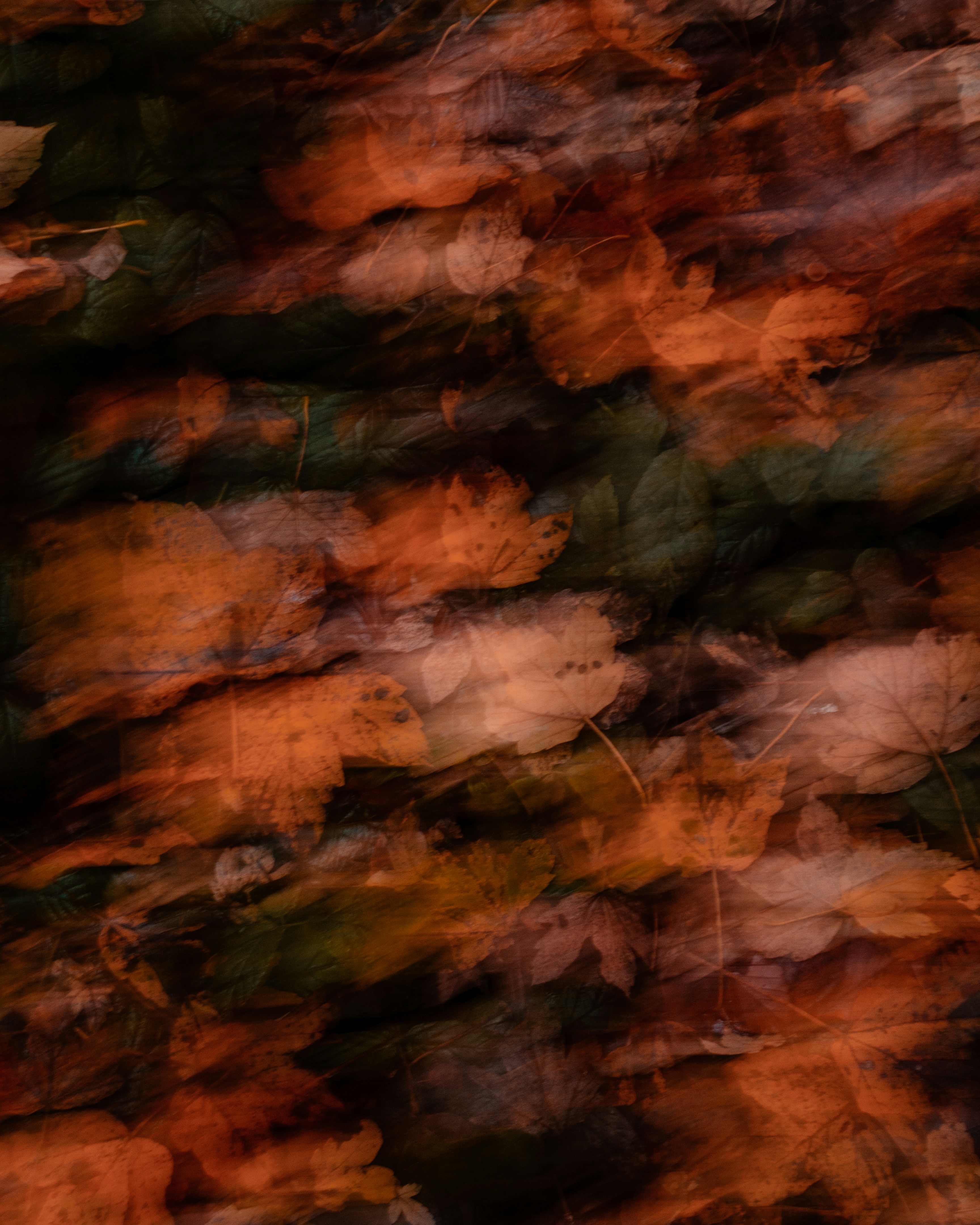 Autumn season, seasonal acupuncture sessions to aid the body through the season of shedding.