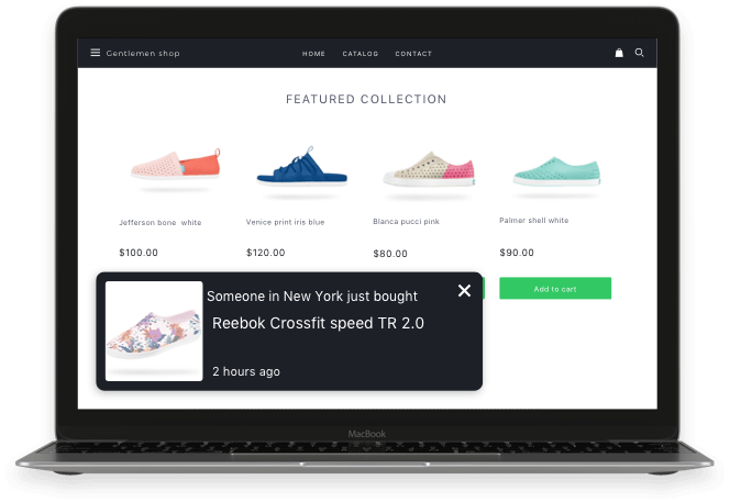 Example of how live sales notification is used in website. 