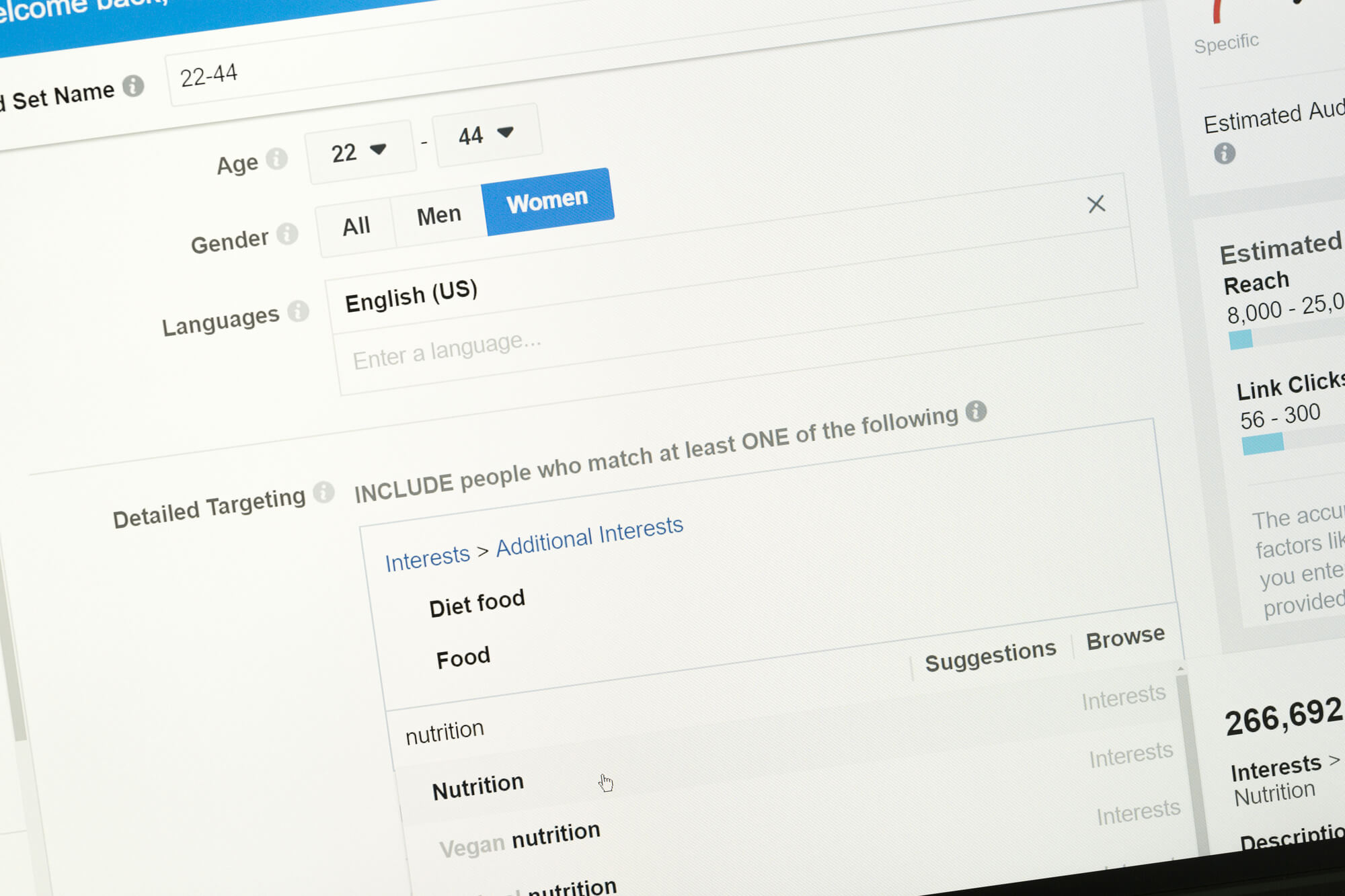 Facebook ad campaign settings