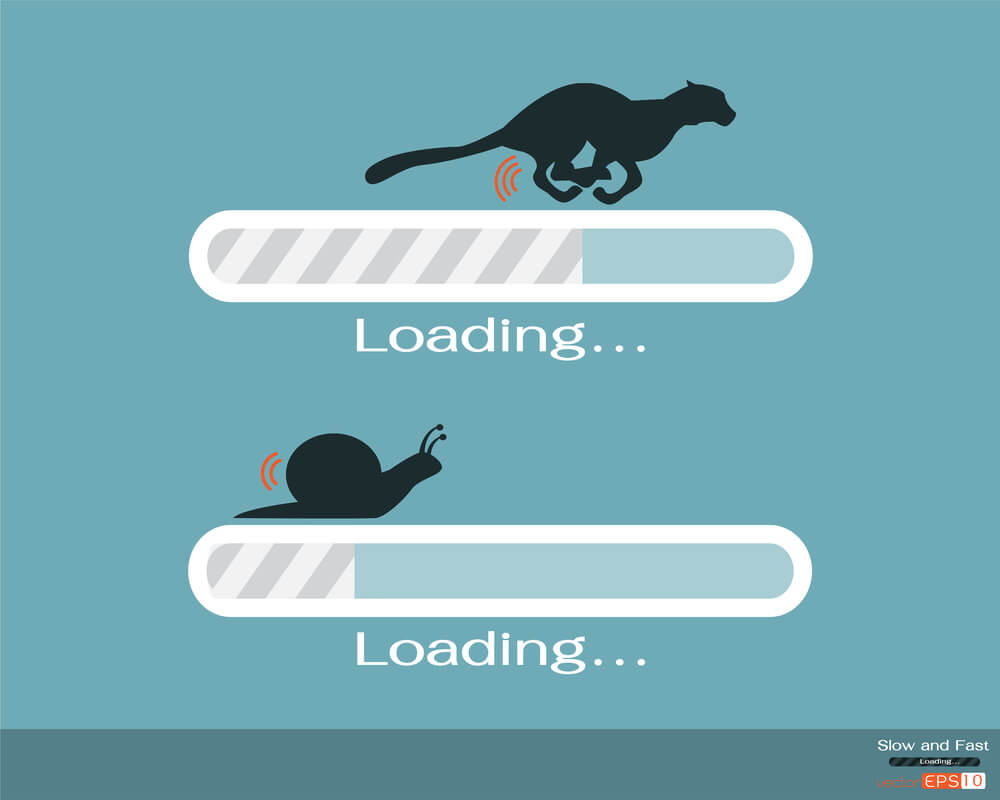 cheetah and snail to indicate loading dental landing pages