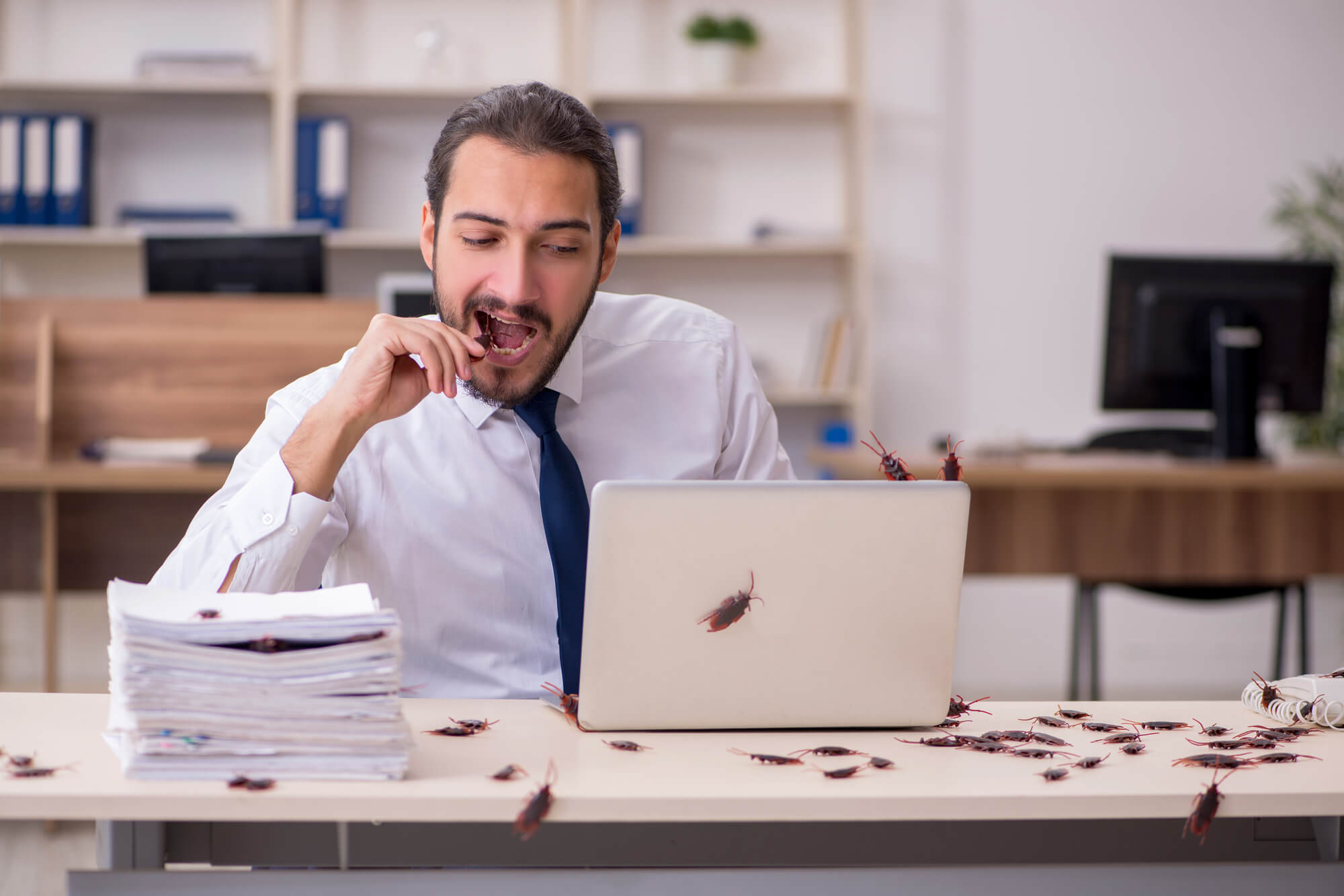 businessman in front of laptop in an office full of cockroaches trying to promote his business