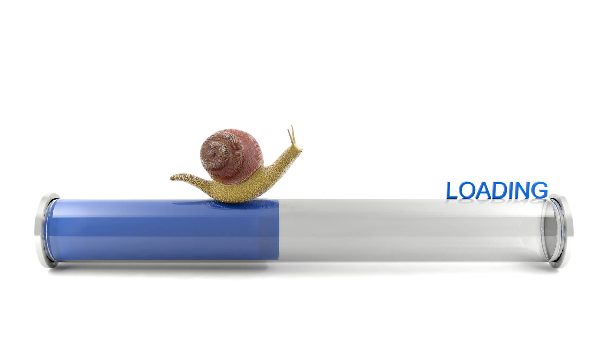 snail crawling on loading bar