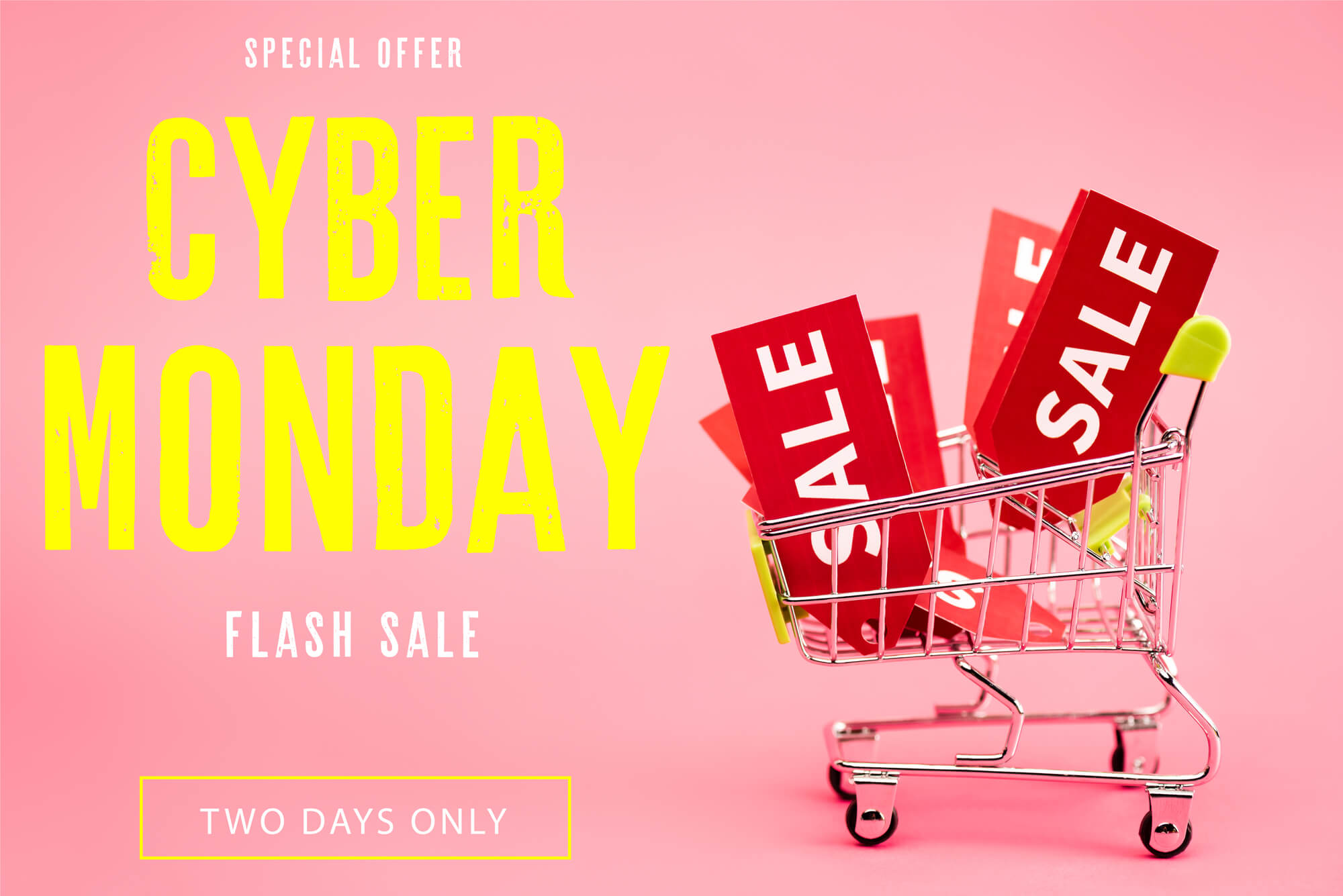 cyber monday flash sale limited time
