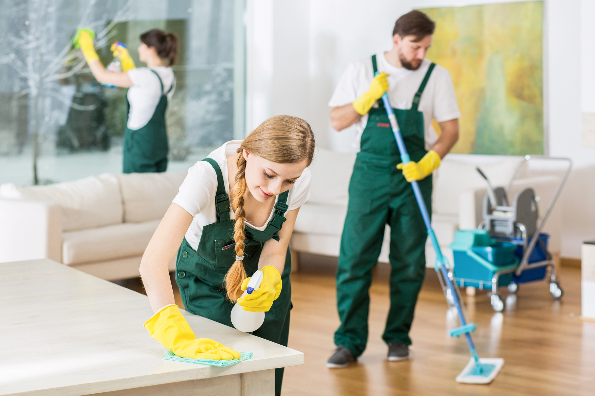 group of cleaners cleaning a house
