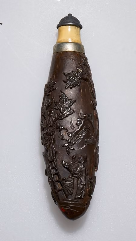 Bean pod with man picking fruit