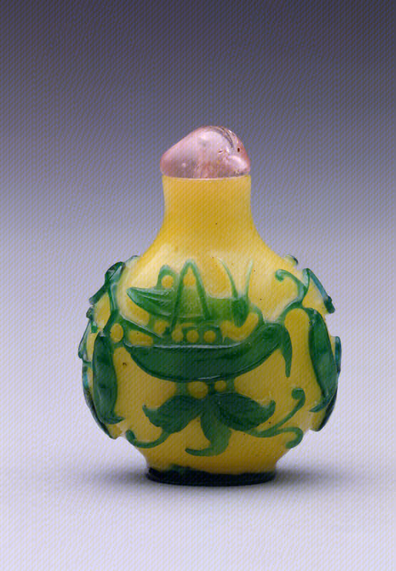 Green overlay on yellow glass with katydid and bean pods