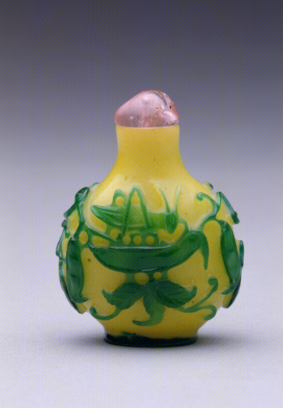Green overlay on yellow glass with katydid and bean pods