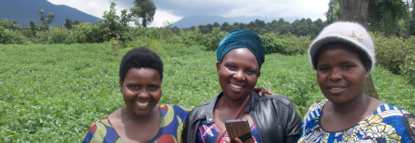 Head office location