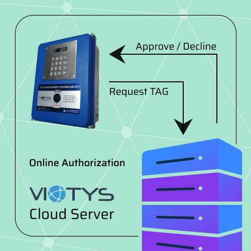 Online Authorization