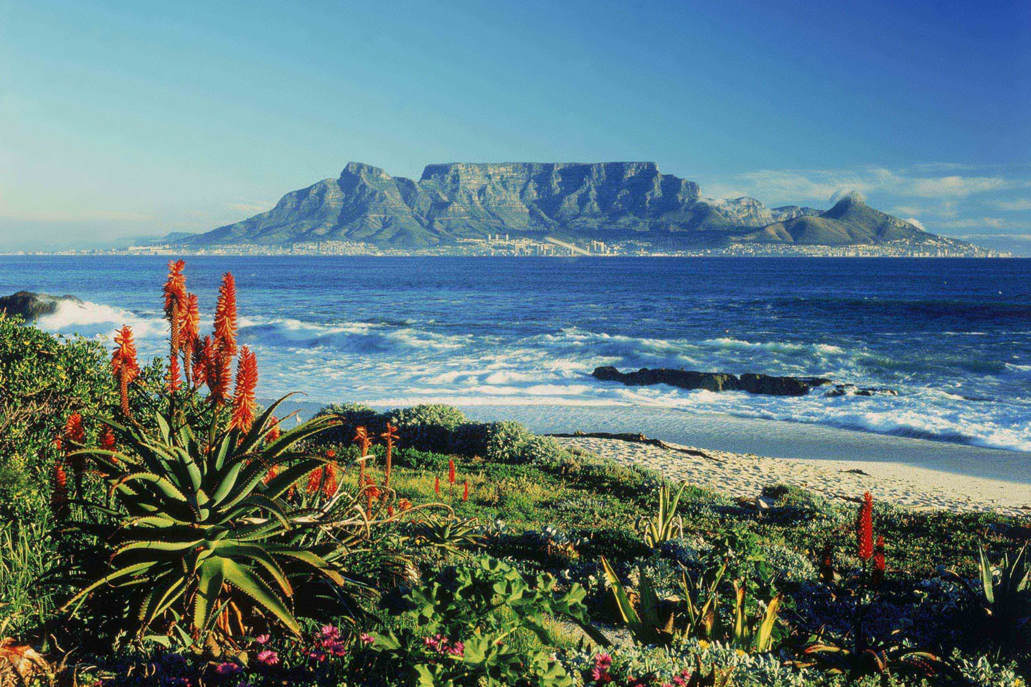 [background image] image of cultural events (for a hindu temple)