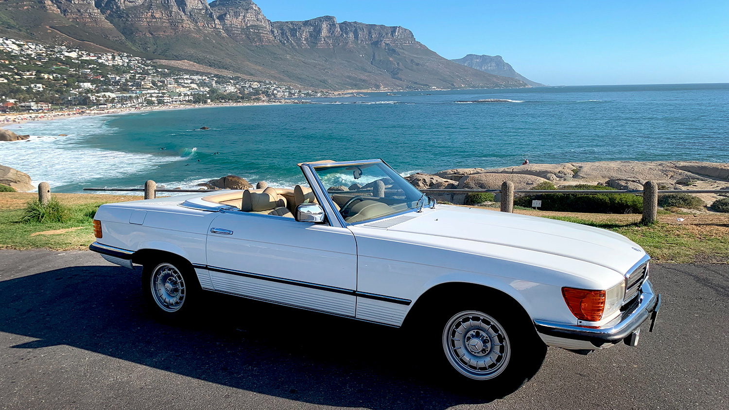 image of educational workshops in progress for an environmental conservation nonprofit