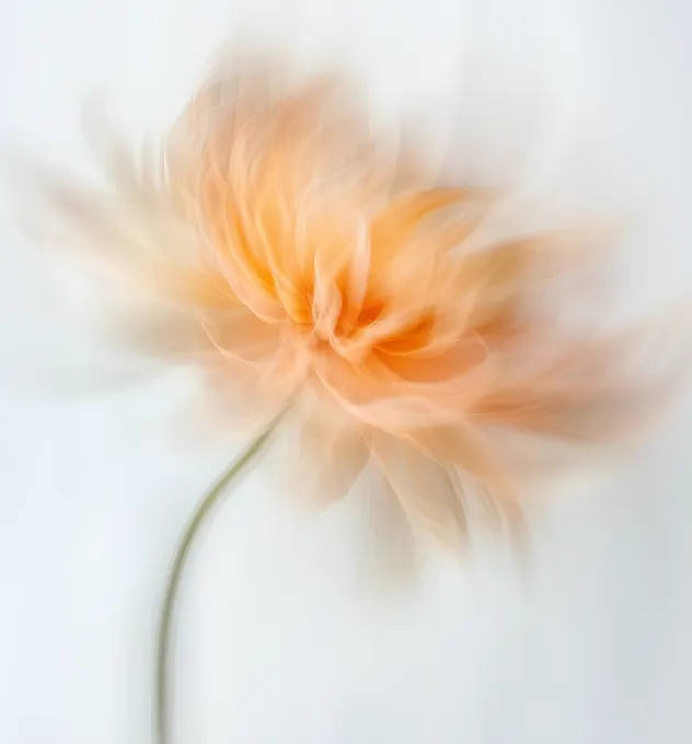 Inspira - AirDokan - Webflow Template Image