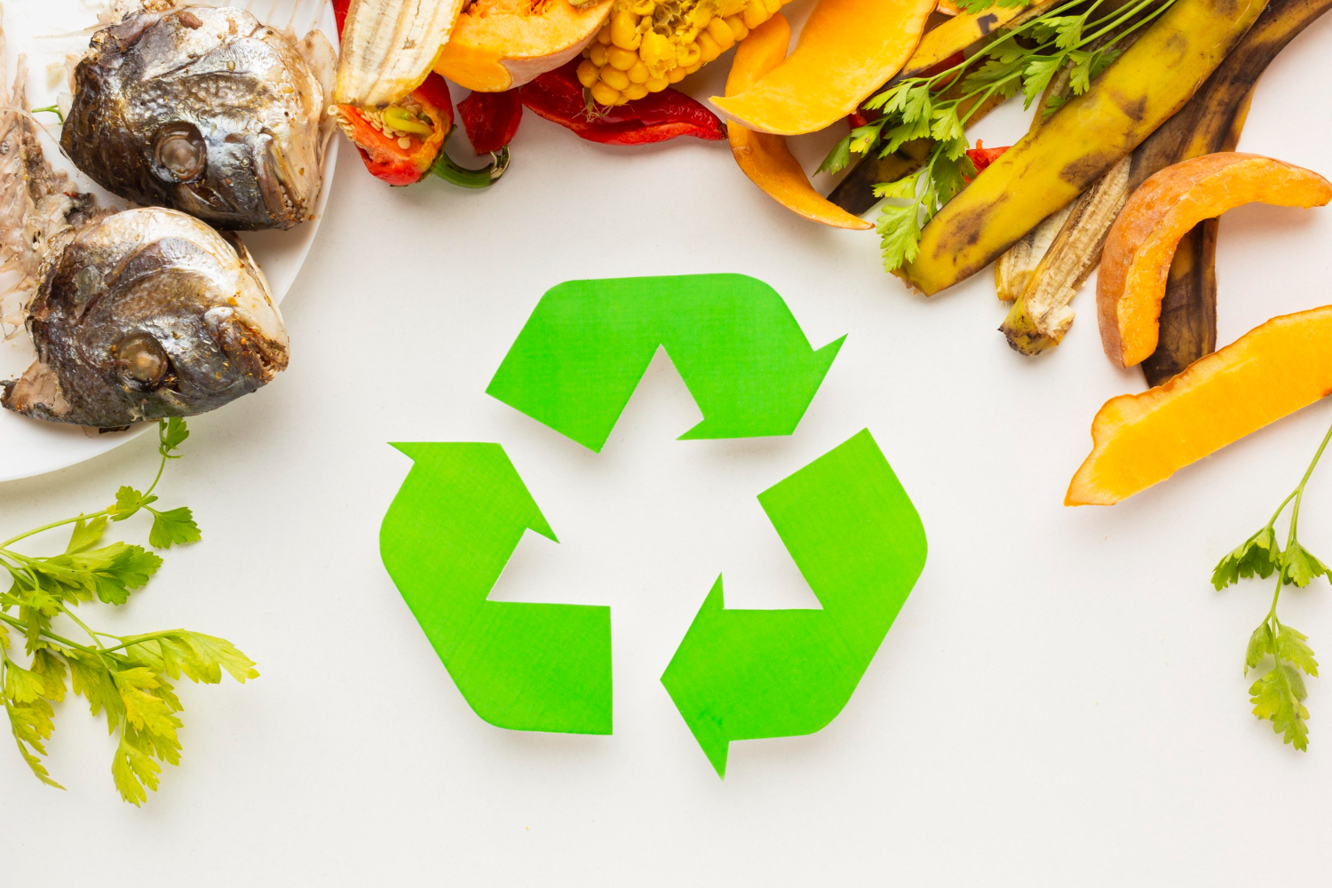 image of a document with faqs (for a productivity tools business)