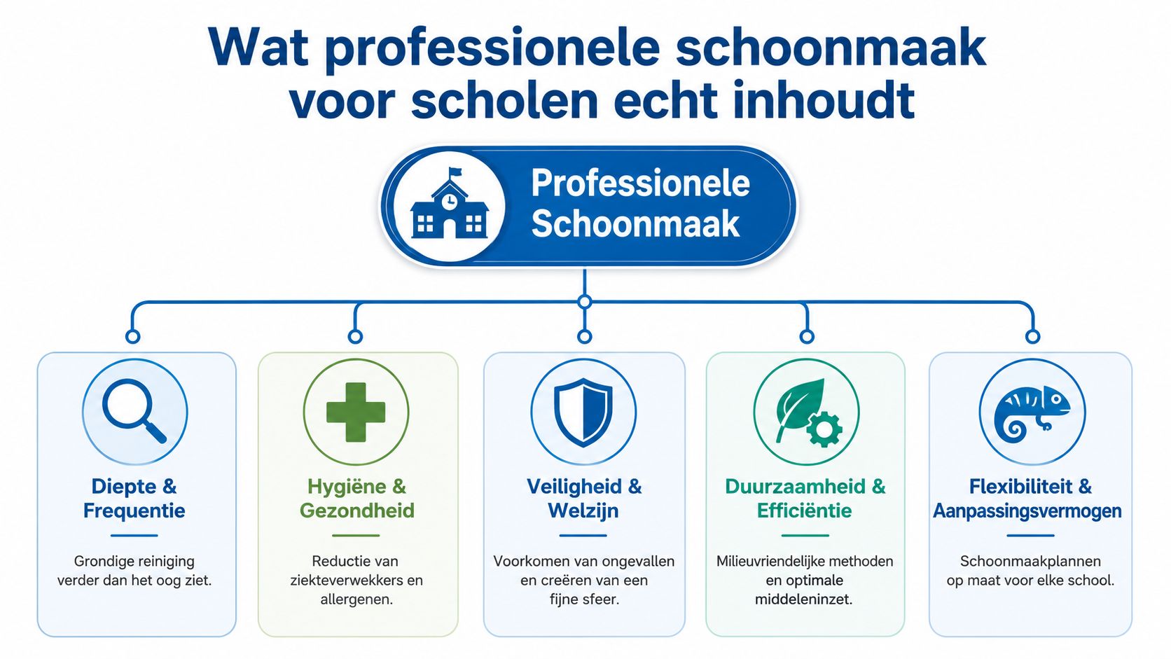 Een infographic over de essentiële aspecten van professionele schoonmaak voor scholen, inclusief hygiëne, veiligheid en duurzaamheid.