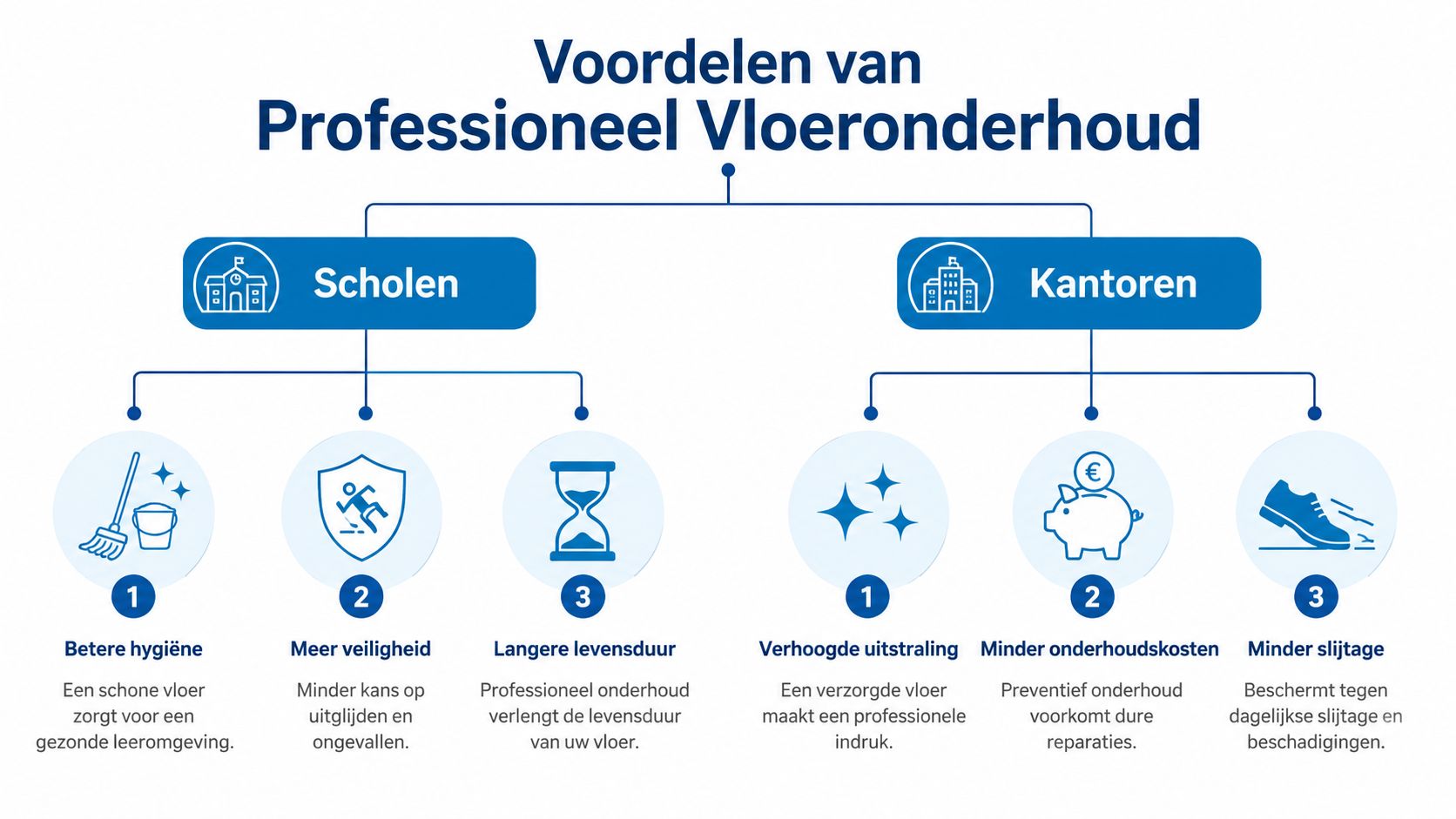 Een overzicht van de voordelen van professioneel vloeronderhoud voor zowel scholen als kantoren in een visueel diagram.