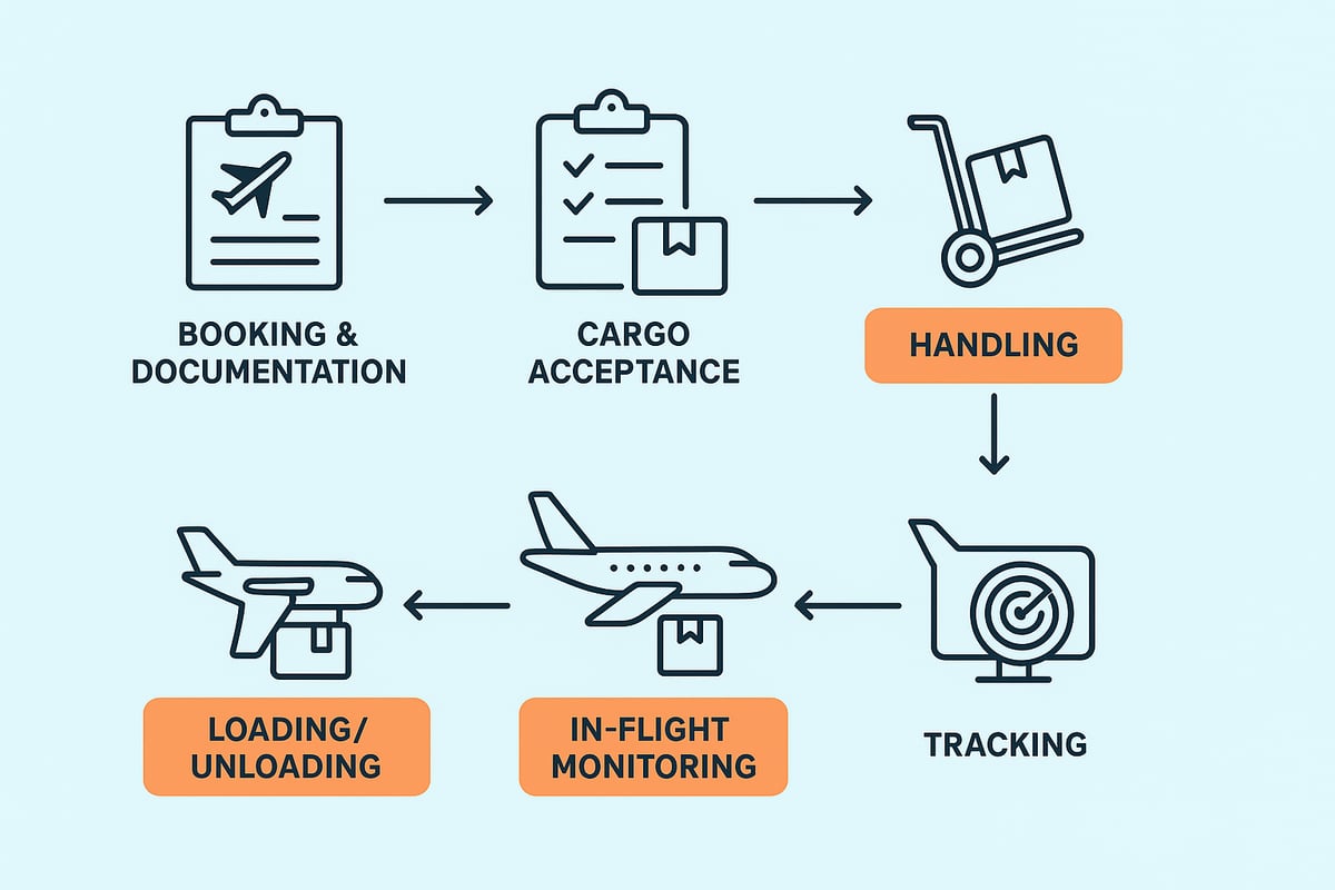 The Airplane Cargo Process: Step-by-Step
