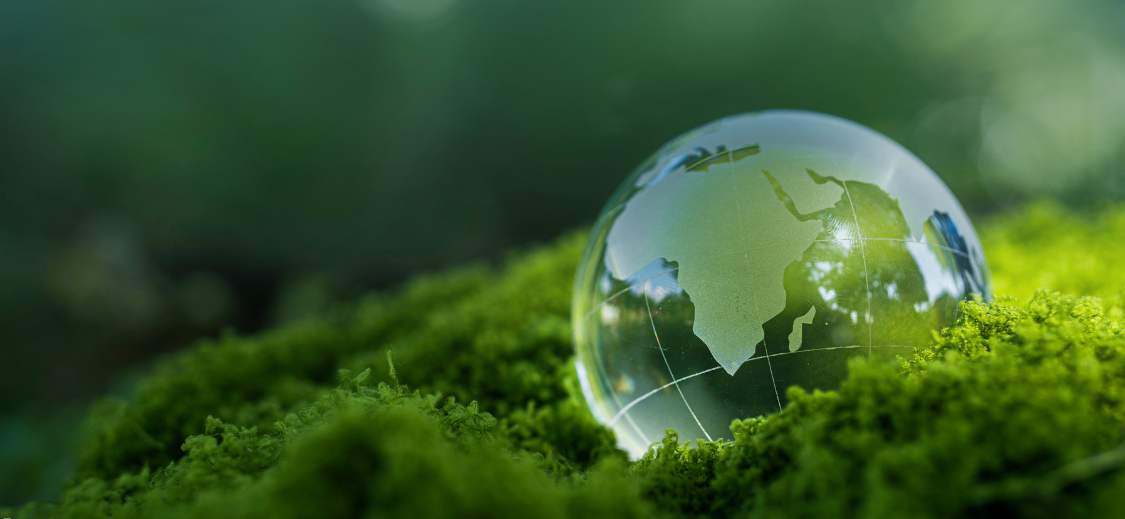EcoVadis Rating: How to prepare your company for ESG assessment.