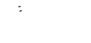 Profil eines Mannes mit Bart, der engageliefert.com auf einem Laptop betrachtet.