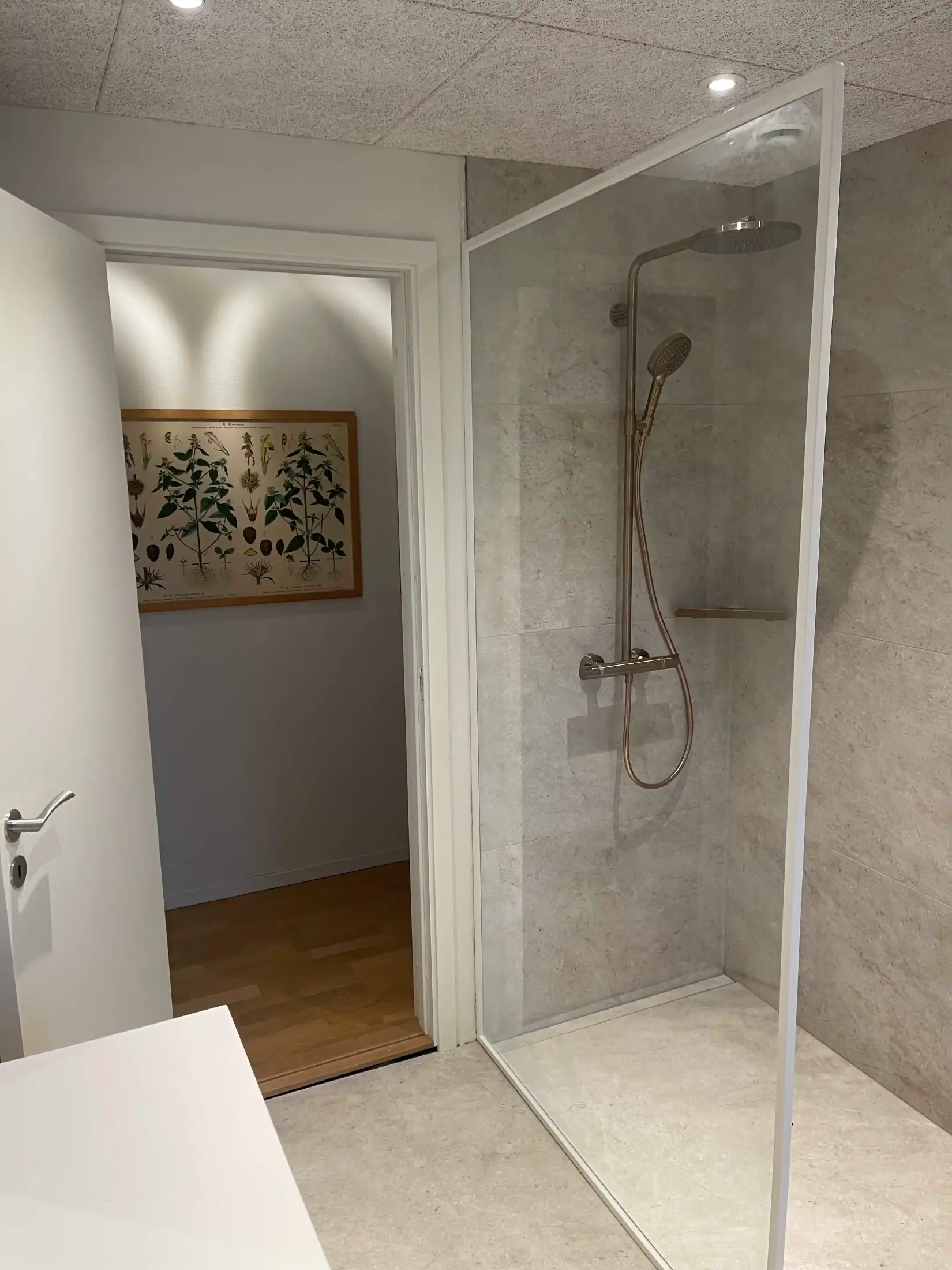 Moderne badeværelse med glasafskærmet brusebad og åben dør, der viser et rum med trægulv og planteillustration på væggen.