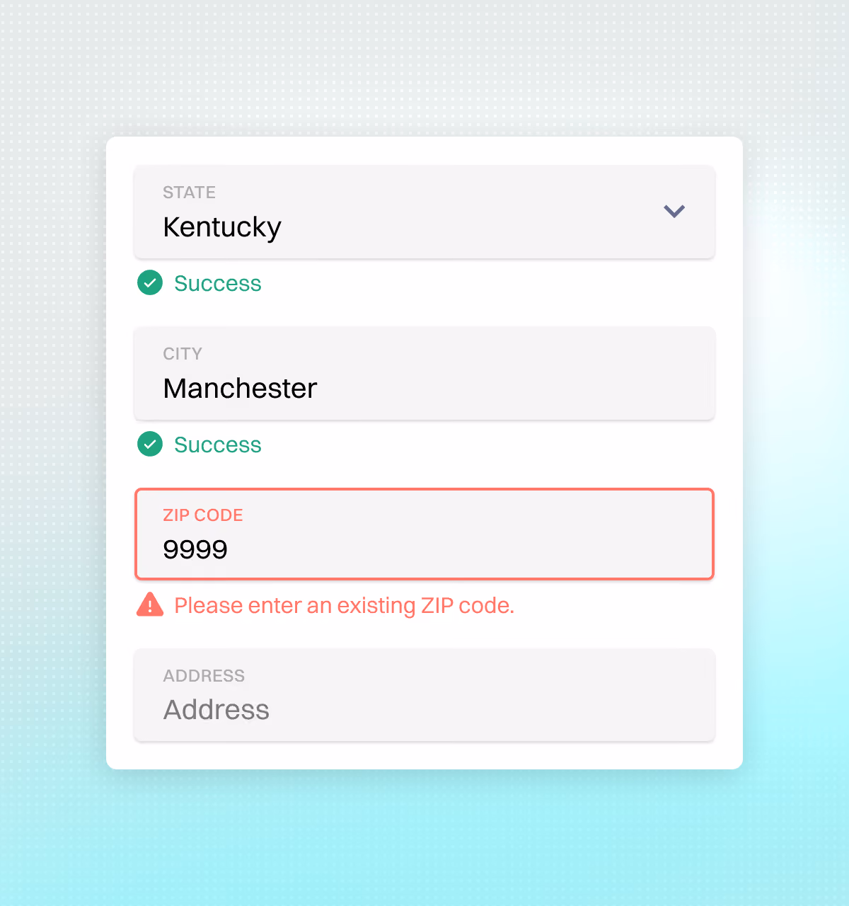 Address form validating state and city while flagging an invalid ZIP code entry.