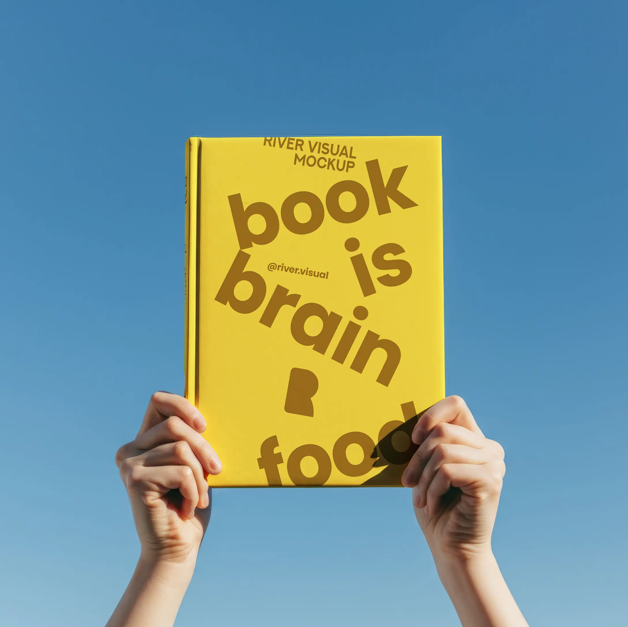 A visually engaging cookbook focused on brain-boosting recipes.