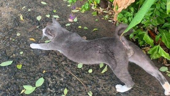 image of studio atmosphere (game development company)