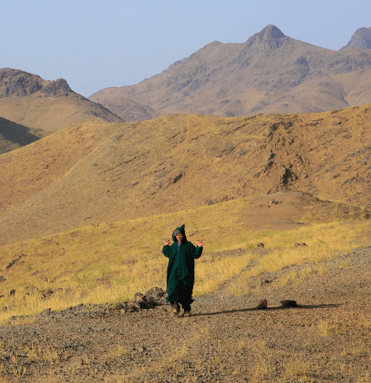 Berger portant une jellaba verte marchant sur un chemin rocheux dans le Haut Atlas marocain, entouré de montagnes sèches et herbeuses sous un ciel clair, dans la vallée des Aït Bougmez.
