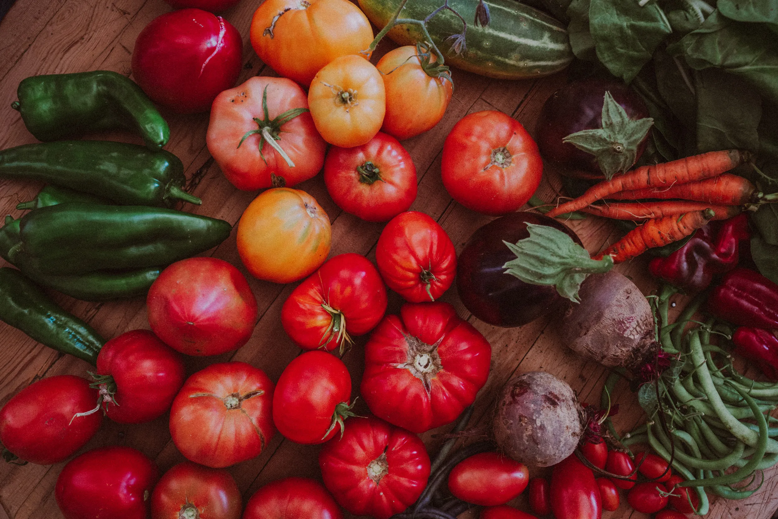 Une récolte abondante et colorée issue du potager de Touda écolodge, présentant des tomates anciennes charnues, des poivrons verts brillants, des carottes fanes, des betteraves terreuses et des haricots verts frais disposés sur une table en bois.