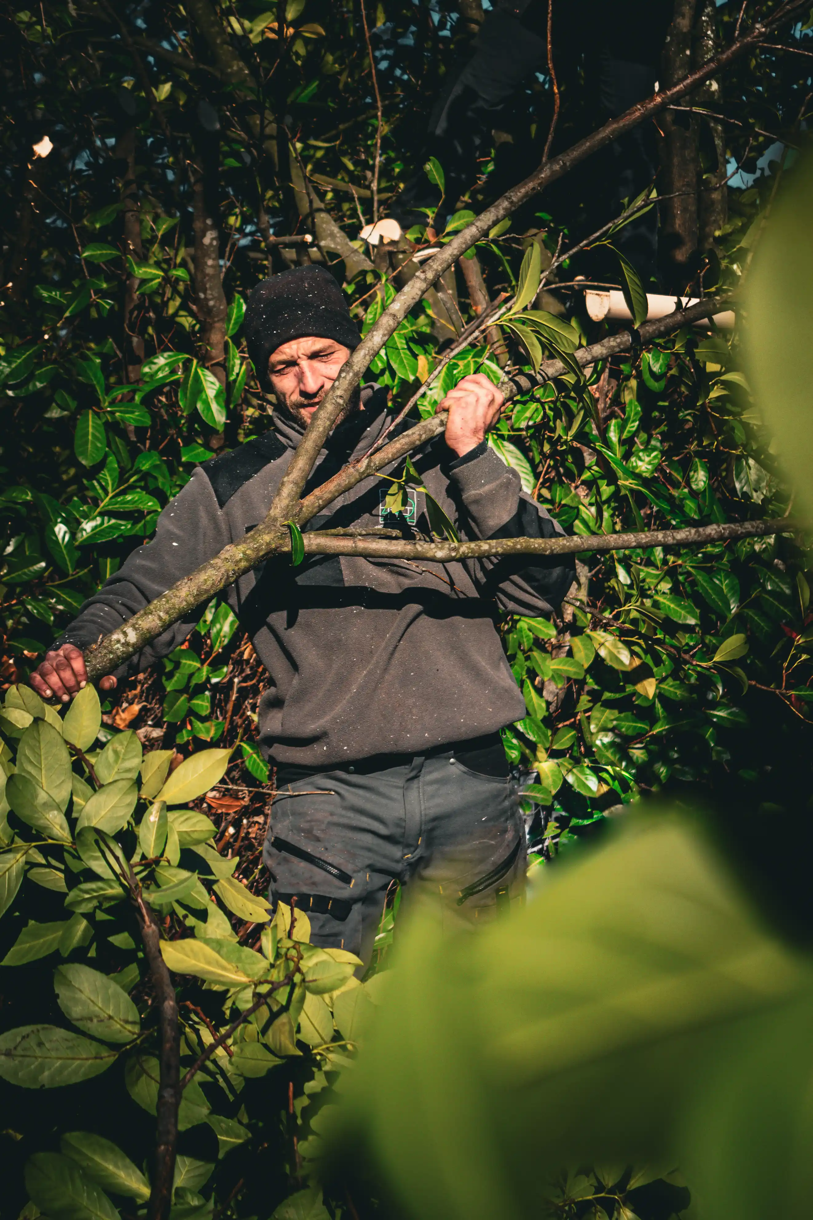Paysagiste qui entretiens un jardin
