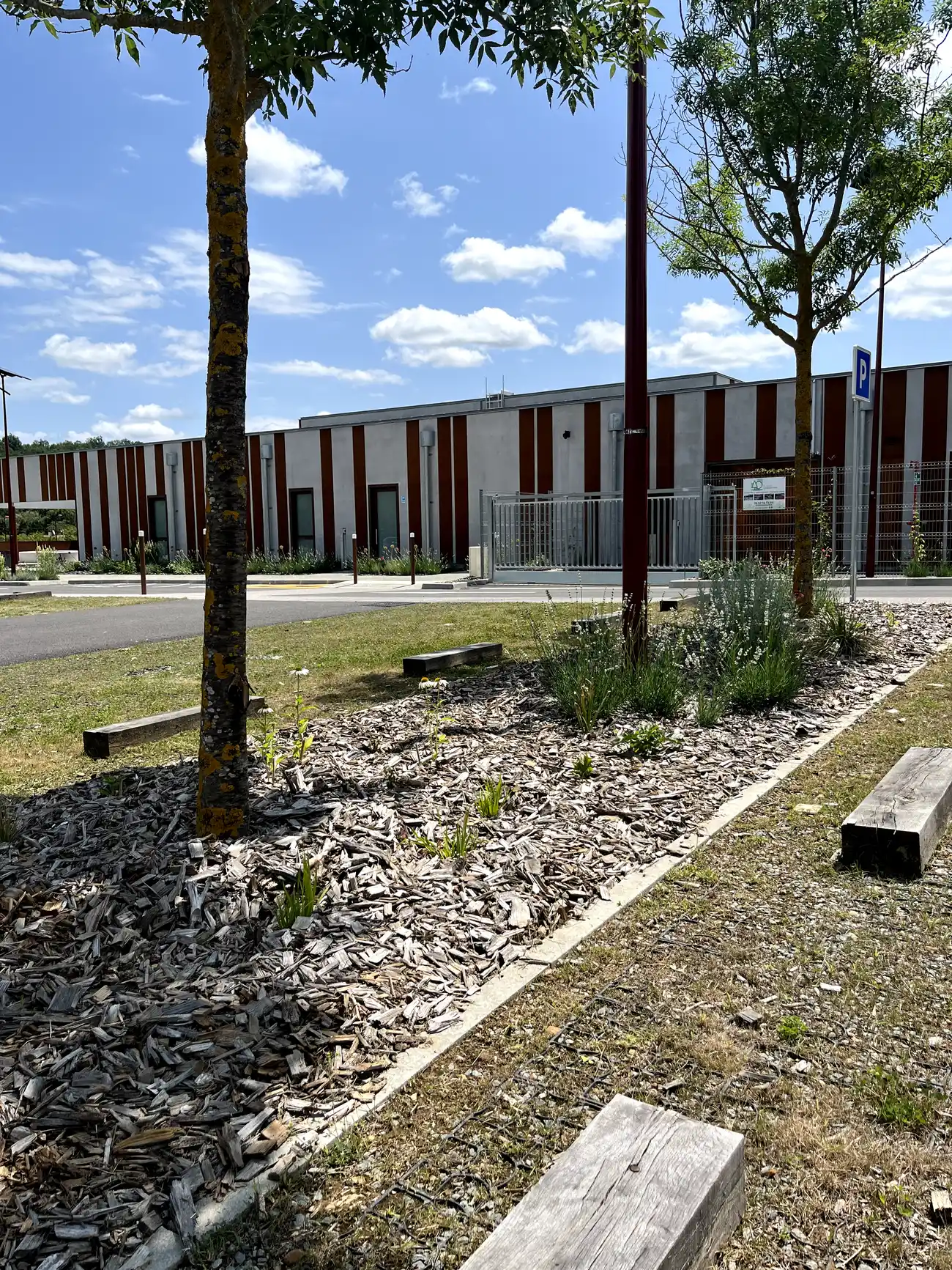 Entretiens jardin de la piscine de Niversac