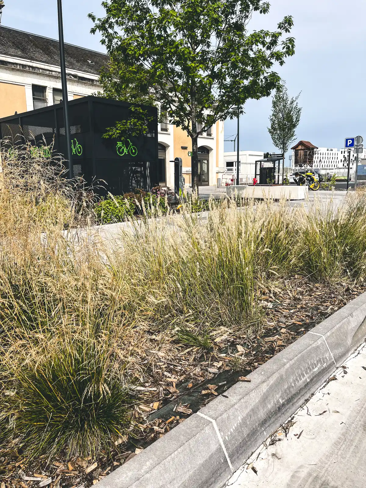 Entretien espace verts gare de Périgueux