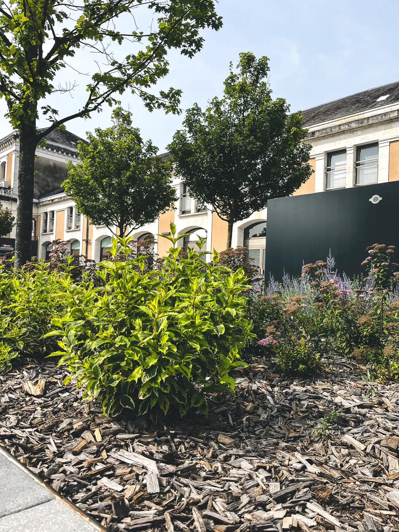 Entretien espace verts gare de Périgueux