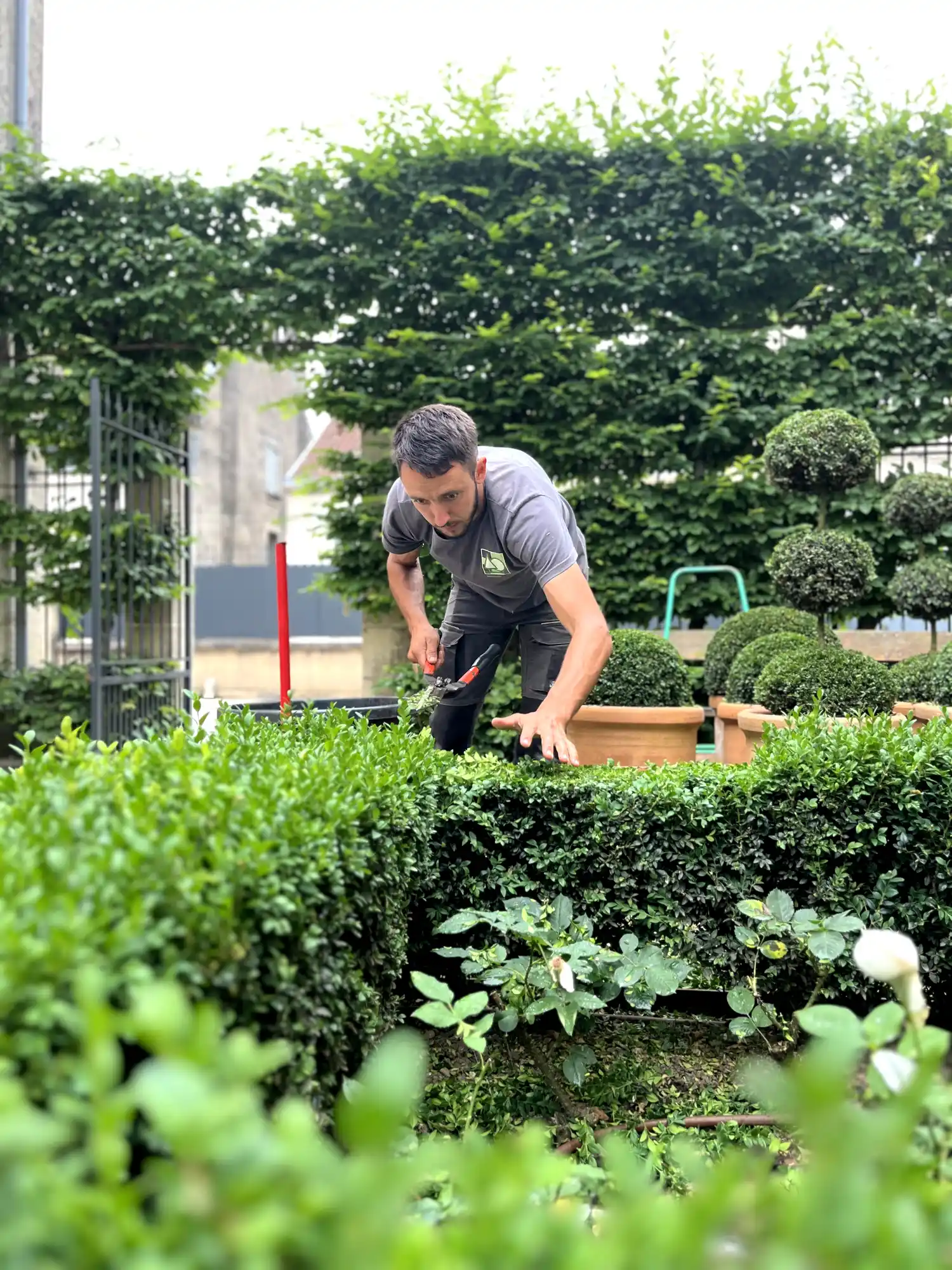 Désherbage écologique dans un jardin de Dordogne par un paysagiste avec une cisaille