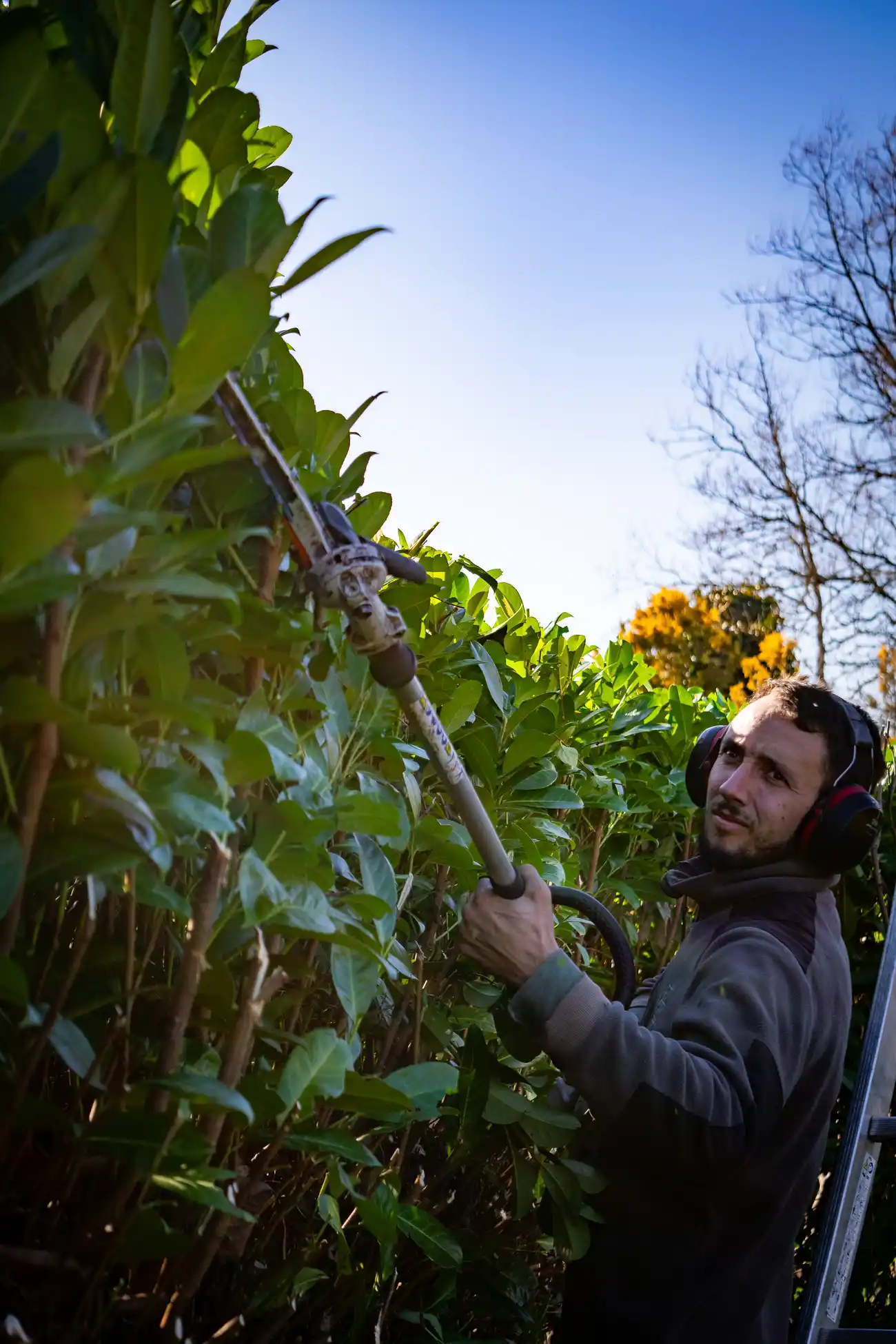 Paysagiste de Dordogne qui taille une haie