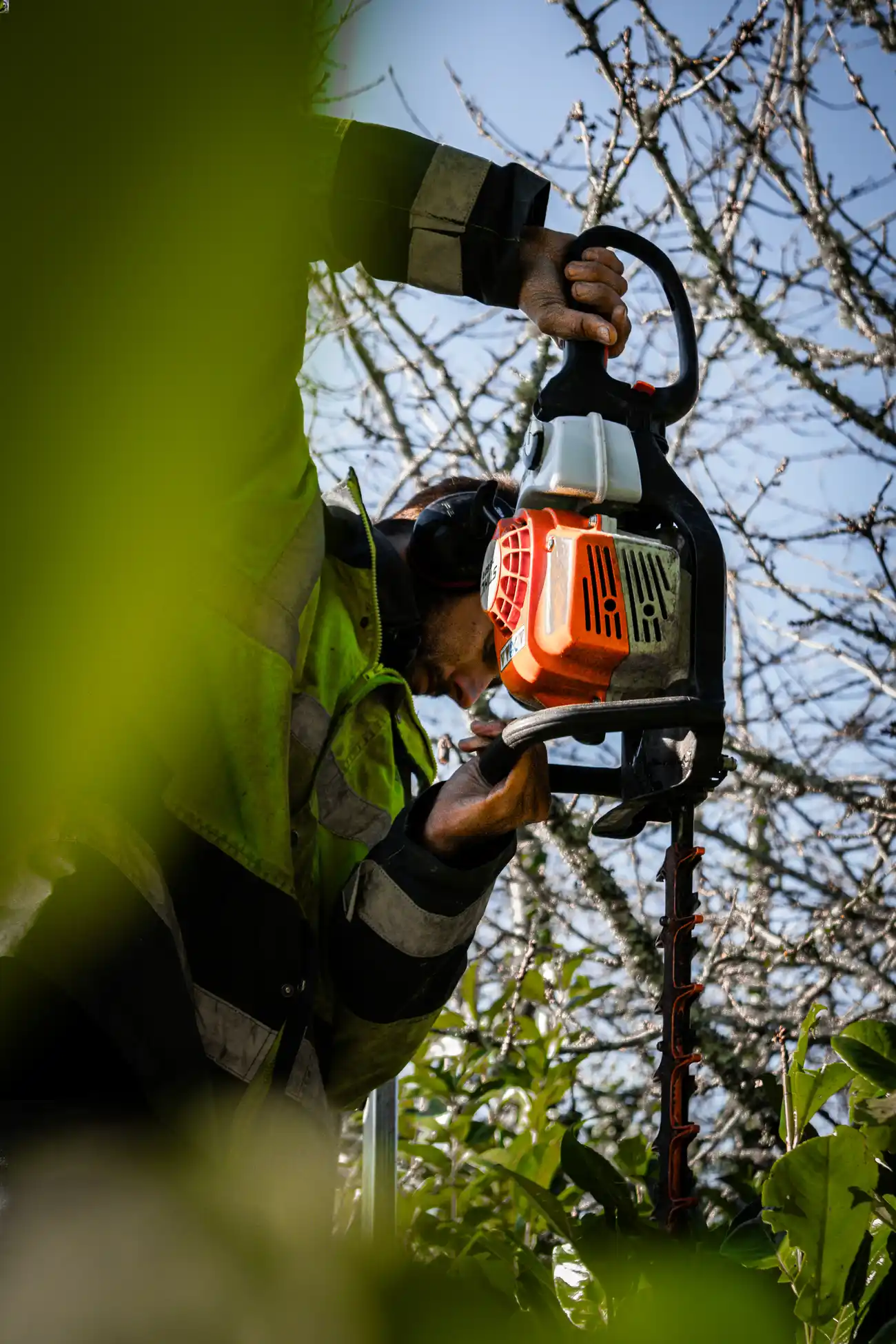 Paysagiste de Dordogne qui taille une haie