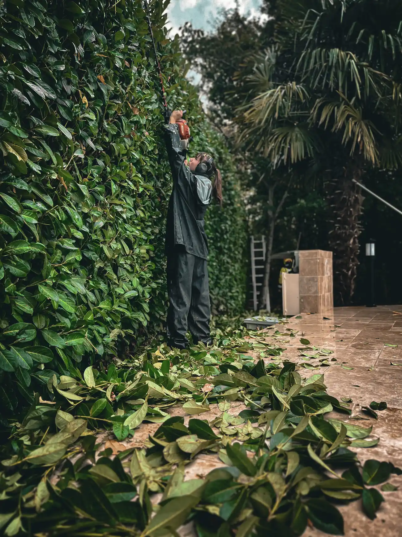 Paysagiste de Dordogne qui taille une haie sur une terasse
