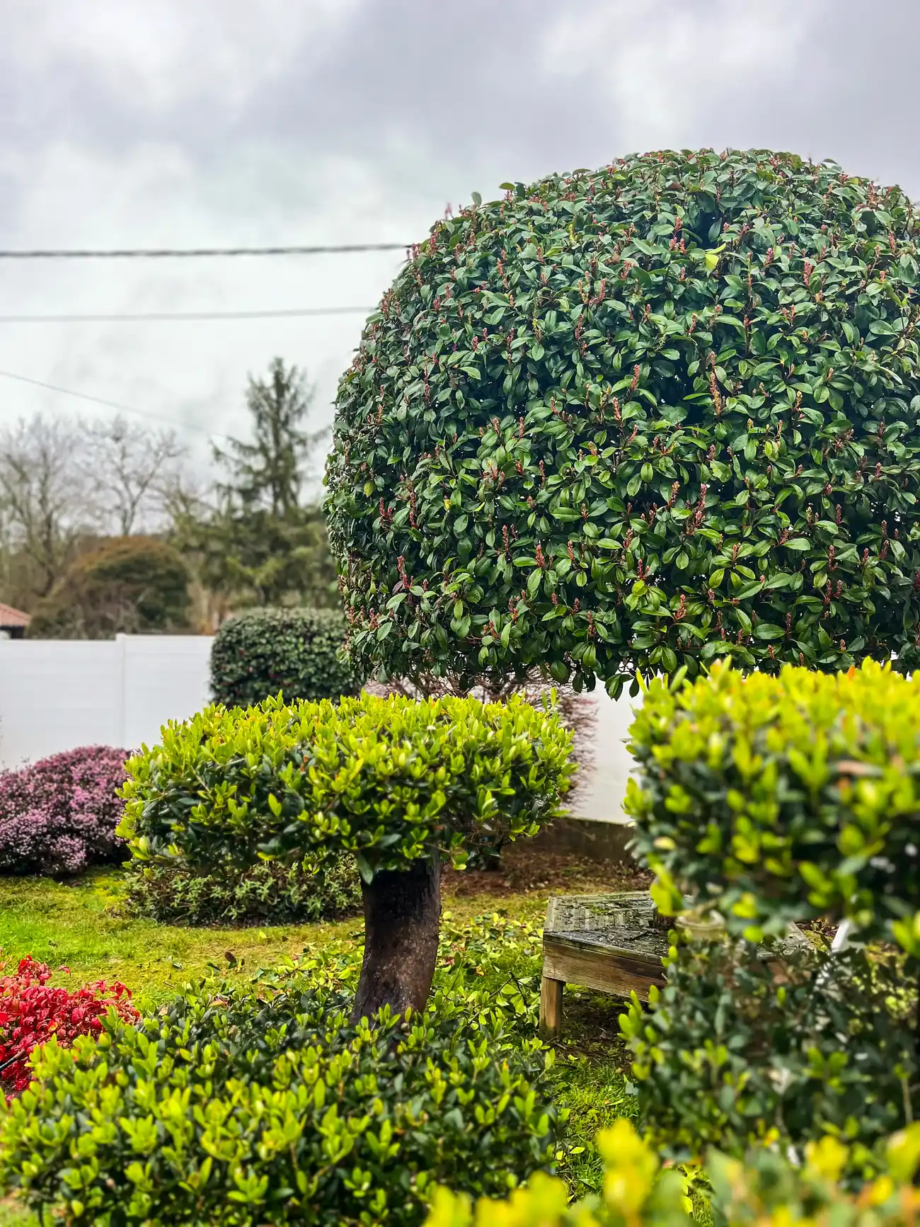 Jardin avec arbres et bosquets